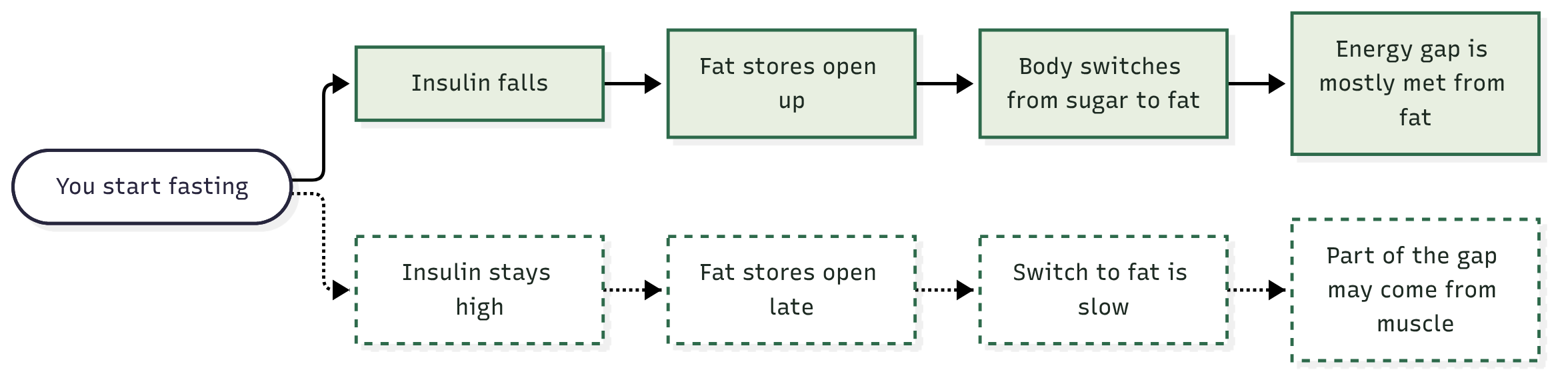 Same Fast, Two Possible Paths